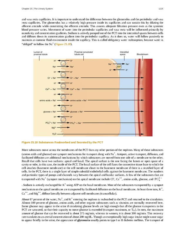 Anatomy & Physiology - 