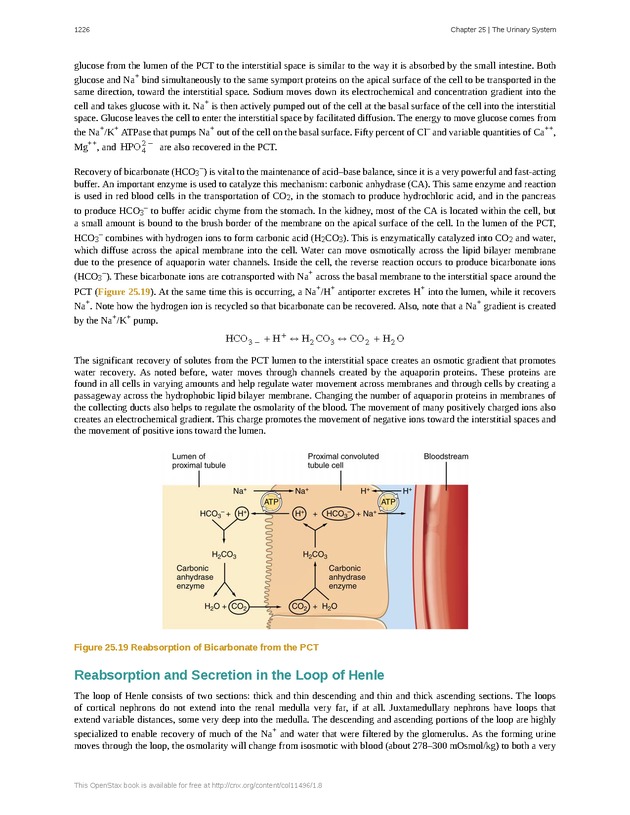 Anatomy & Physiology - 