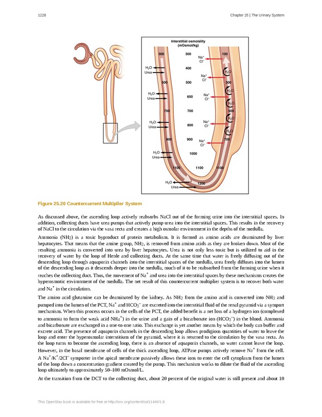 Anatomy & Physiology - 