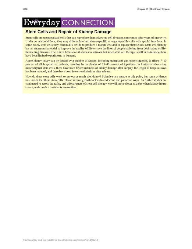 Anatomy & Physiology - 