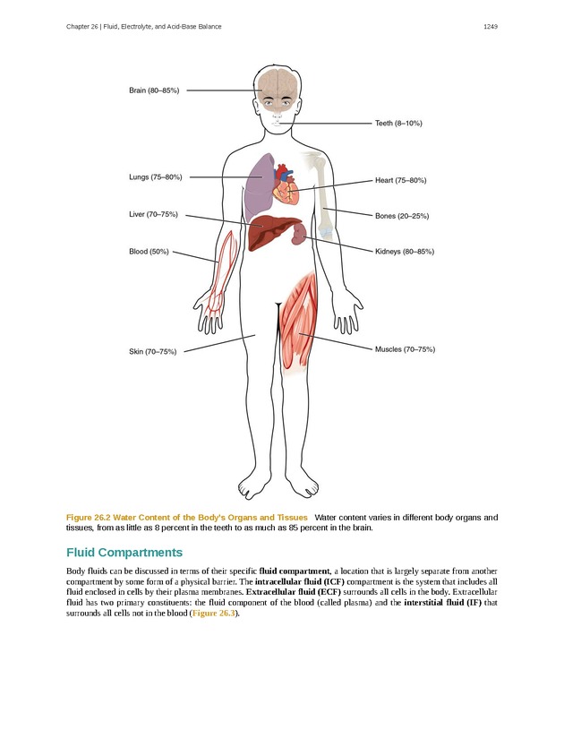 Anatomy & Physiology - 