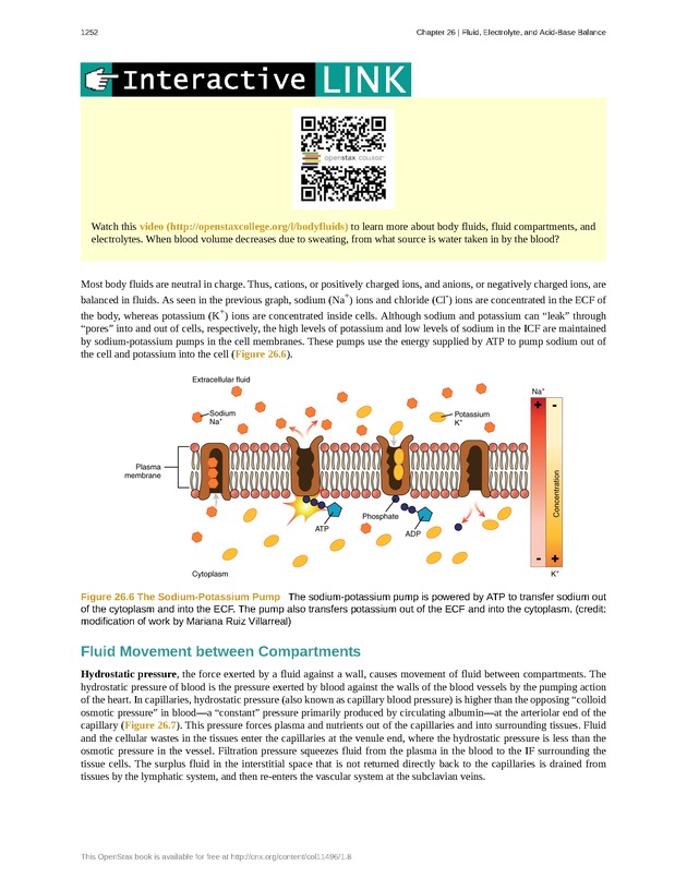 Anatomy & Physiology - 