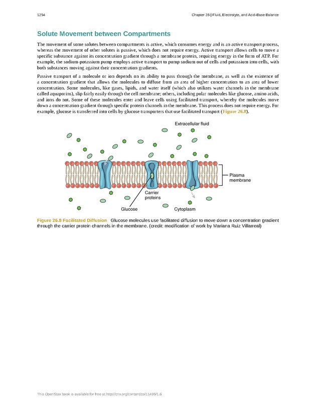 Anatomy & Physiology - 