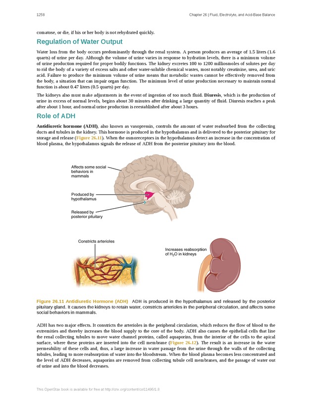 Anatomy & Physiology - 