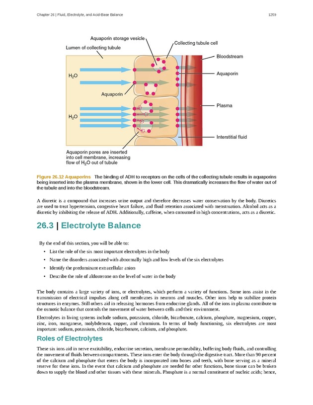 Anatomy & Physiology - 