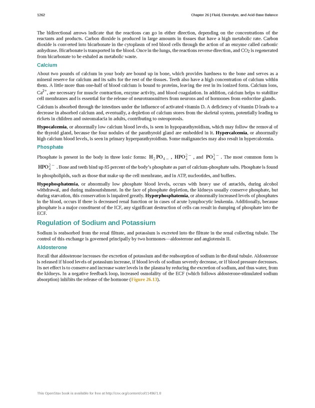 Anatomy & Physiology - 