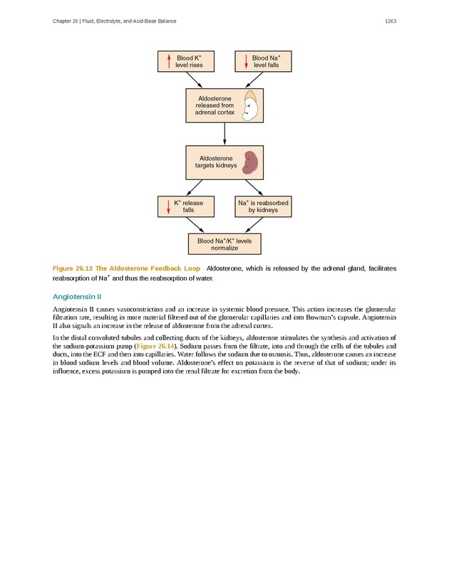 Anatomy & Physiology - 