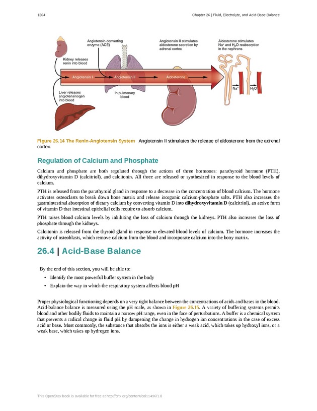 Anatomy & Physiology - 