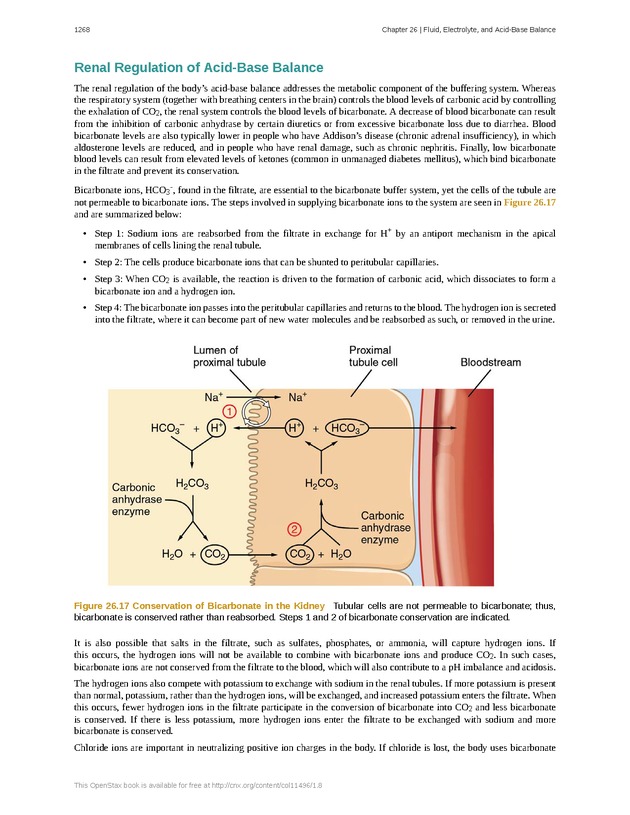 Anatomy & Physiology - 