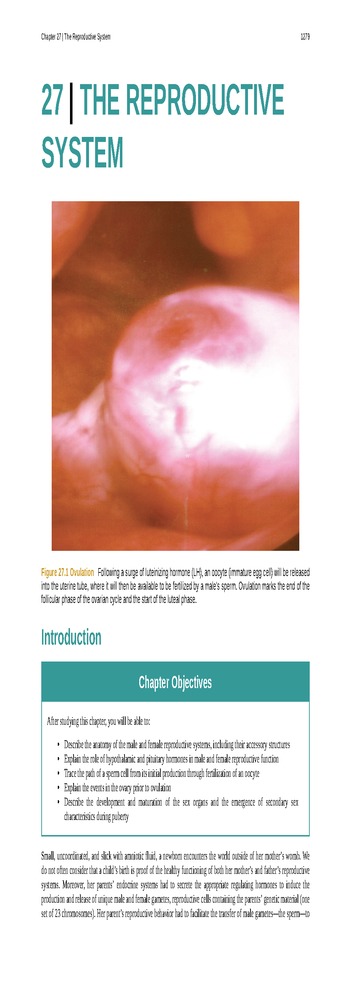 Anatomy & Physiology - 