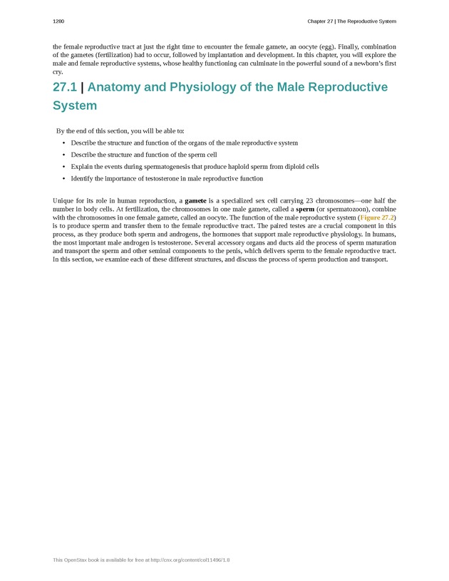 Anatomy & Physiology - 