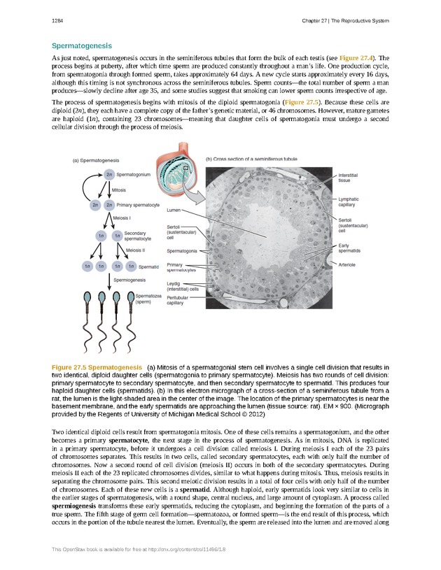 Anatomy & Physiology - 