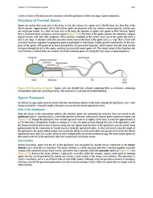 Anatomy & Physiology - 