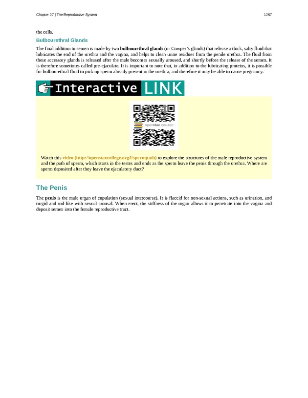 Anatomy & Physiology - 