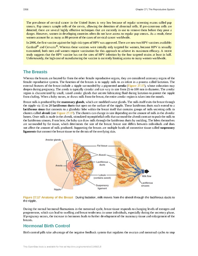 Anatomy & Physiology - 