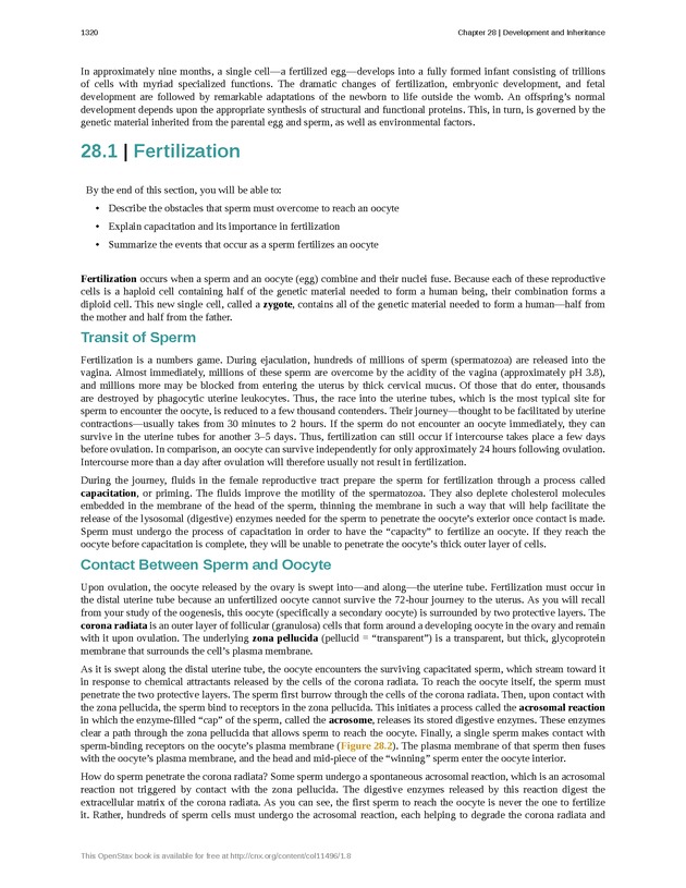 Anatomy & Physiology - 