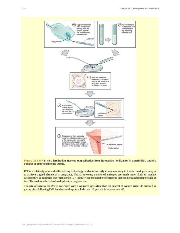 Anatomy & Physiology - 