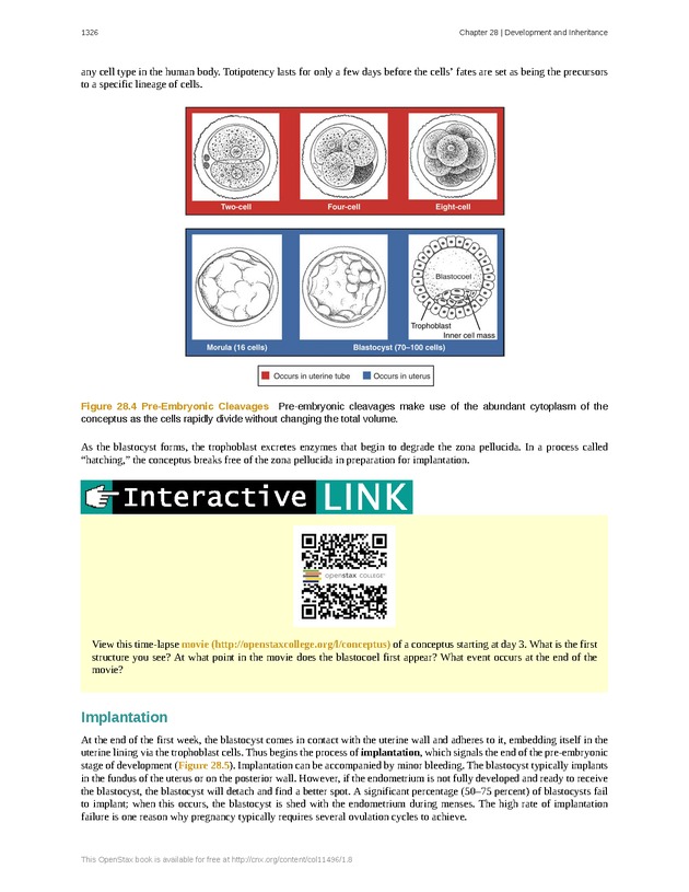 Anatomy & Physiology - 