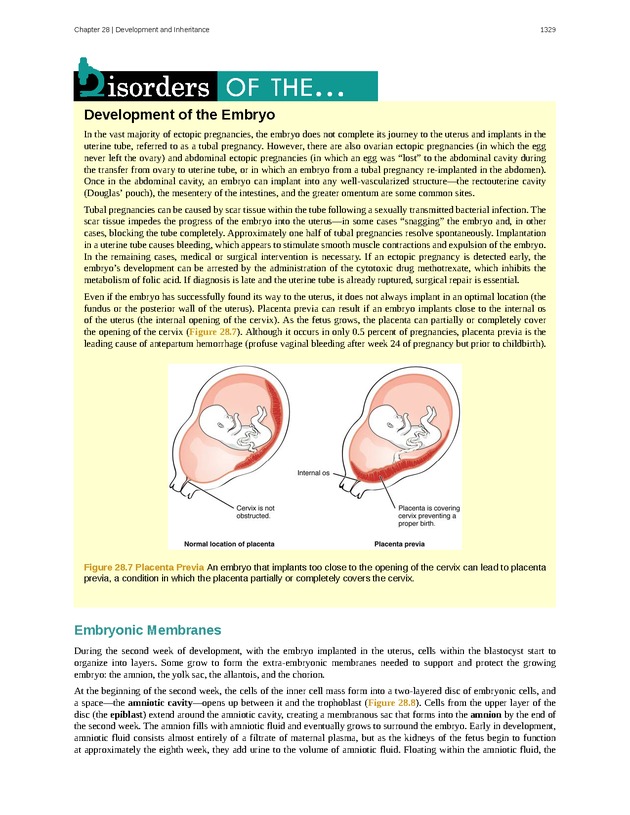 Anatomy & Physiology - 