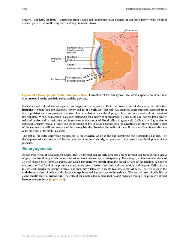 Anatomy & Physiology - 