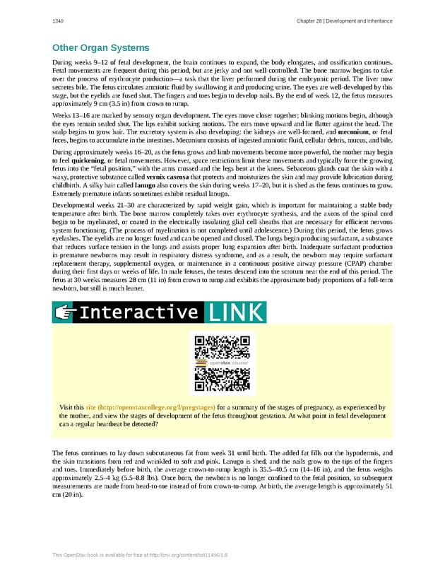Anatomy & Physiology - 