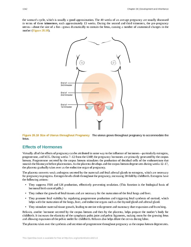 Anatomy & Physiology - 