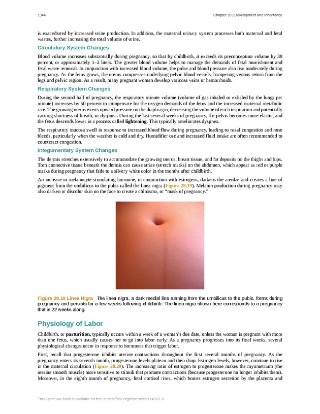 Anatomy & Physiology - 