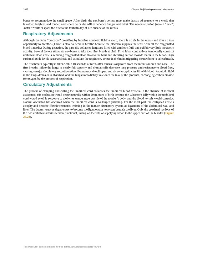 Anatomy & Physiology - 