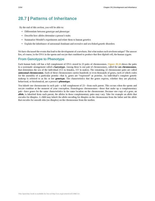 Anatomy & Physiology - 