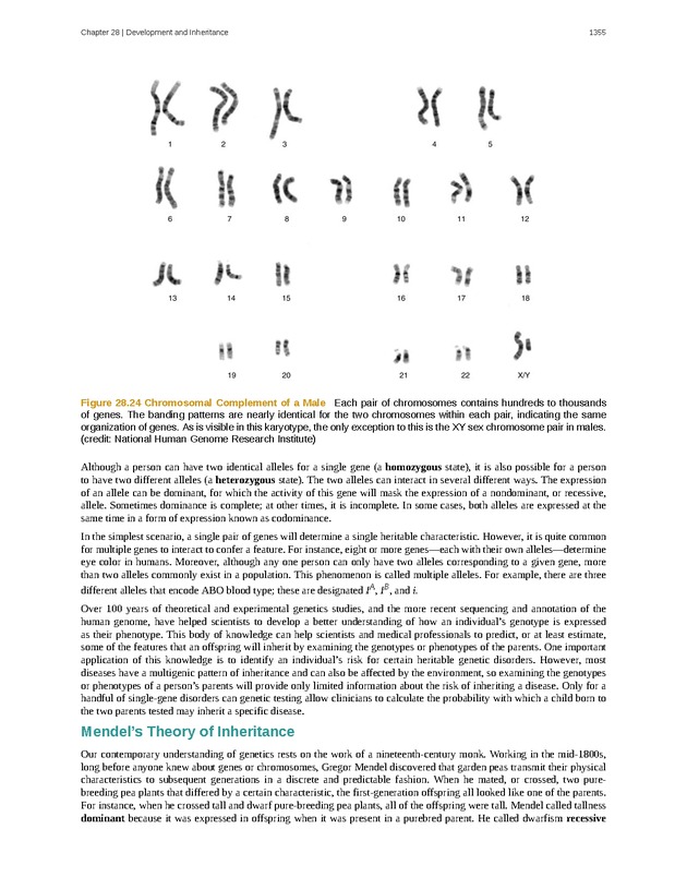 Anatomy & Physiology - 