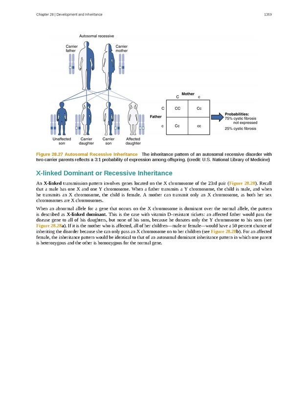 Anatomy & Physiology - 
