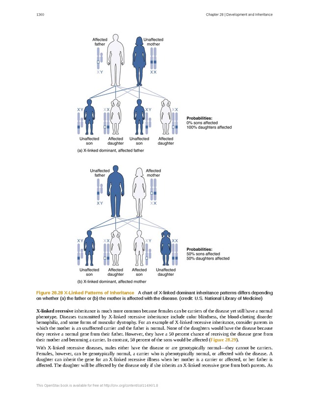 Anatomy & Physiology - 