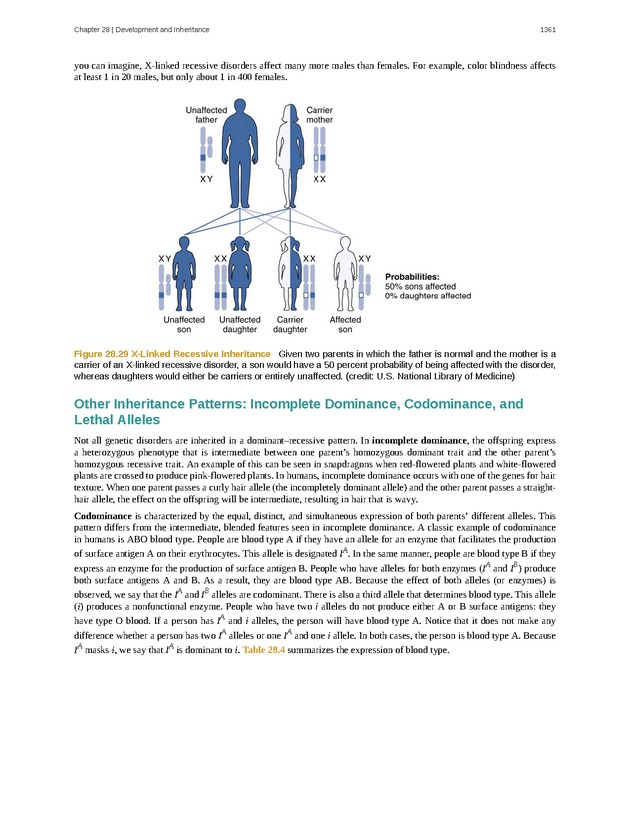 Anatomy & Physiology - 