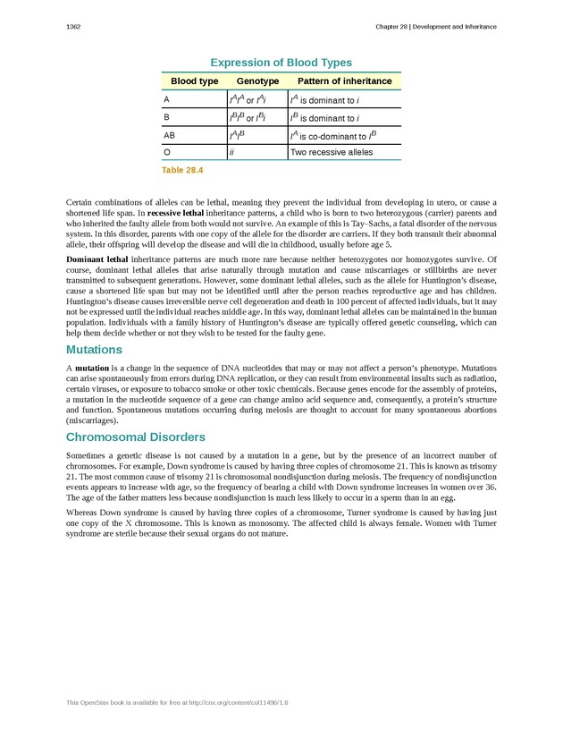 Anatomy & Physiology - 