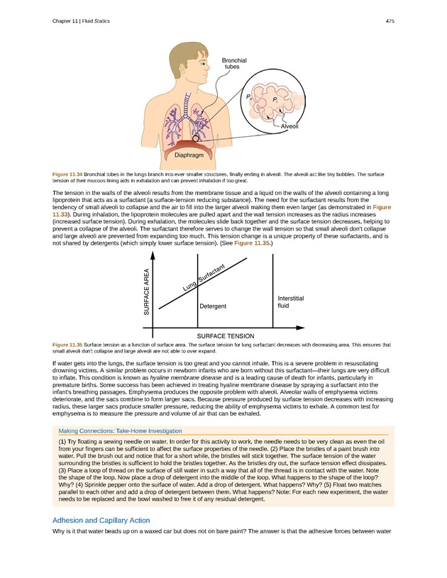 College Physics (AP Courses) - Page 469