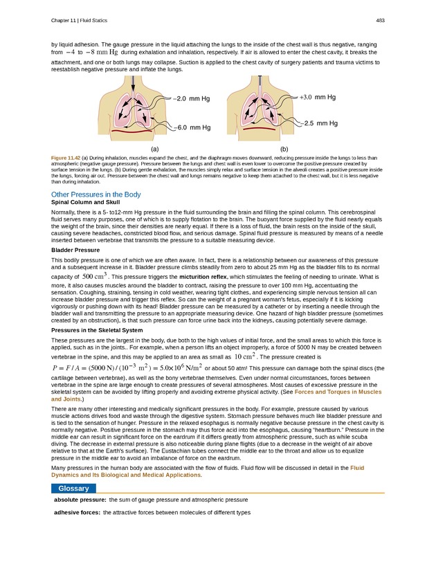 College Physics (AP Courses) - Page 477