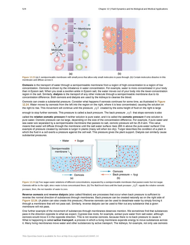 College Physics (AP Courses) - Page 518