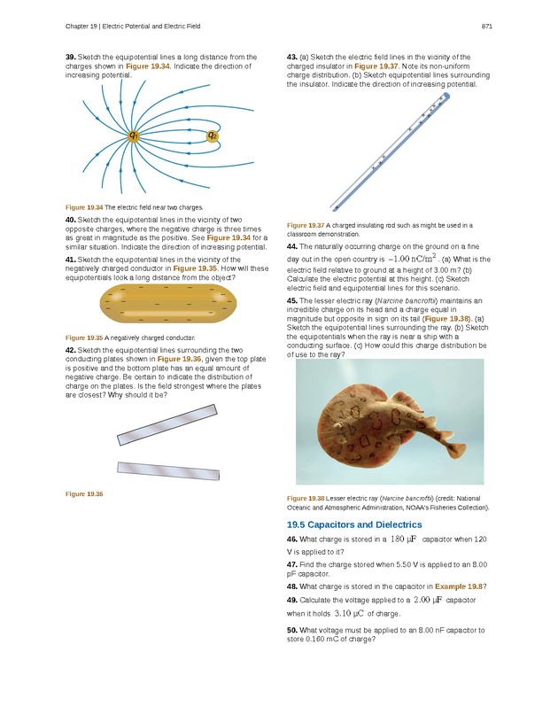 College Physics (AP Courses) - Page 865