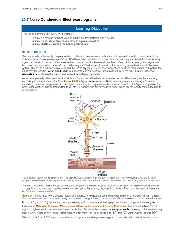 College Physics (AP Courses) - Page 899