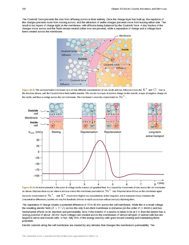 College Physics (AP Courses) - Page 900