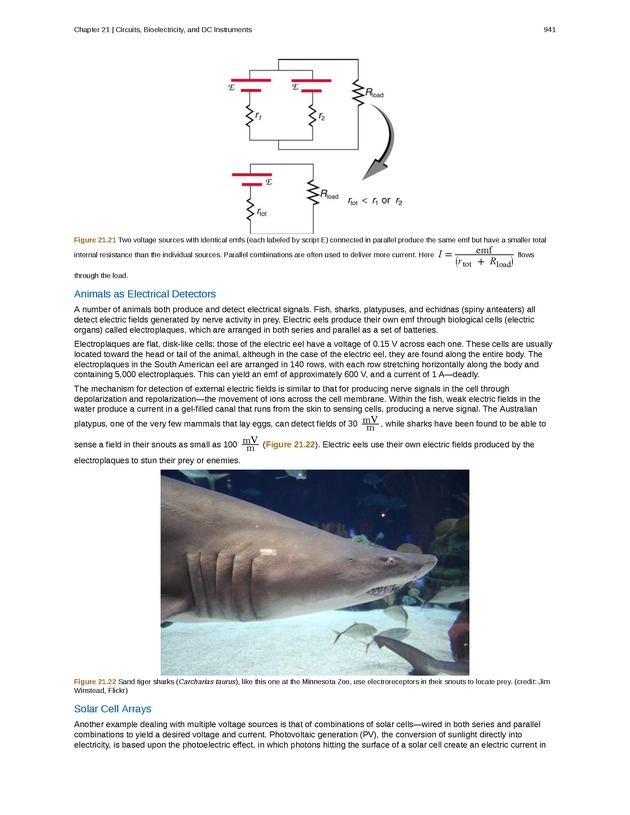 College Physics (AP Courses) - Page 935