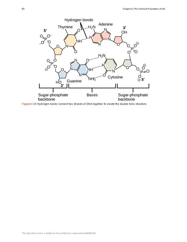 Biology - Front Matter 73