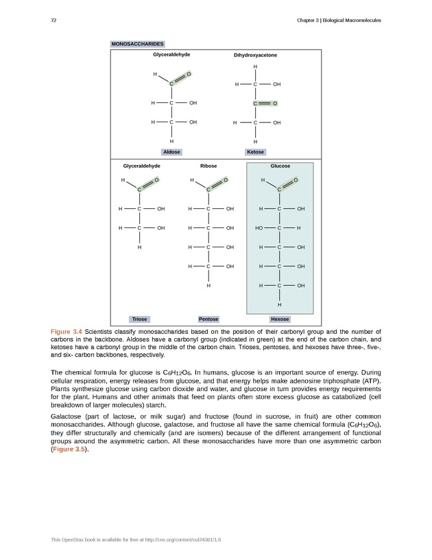 Biology - Front Matter 83