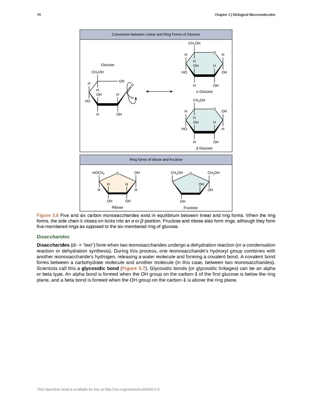Biology - Front Matter 85