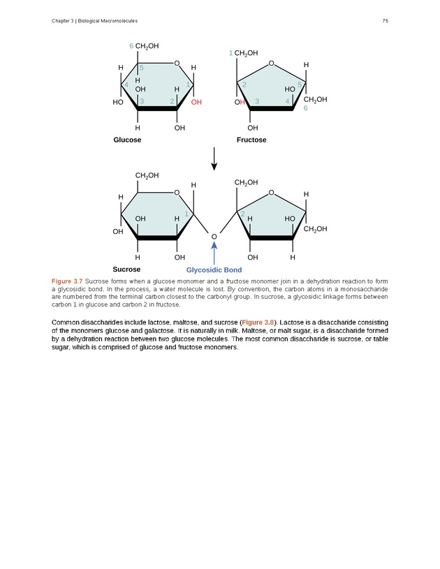 Biology - Front Matter 86