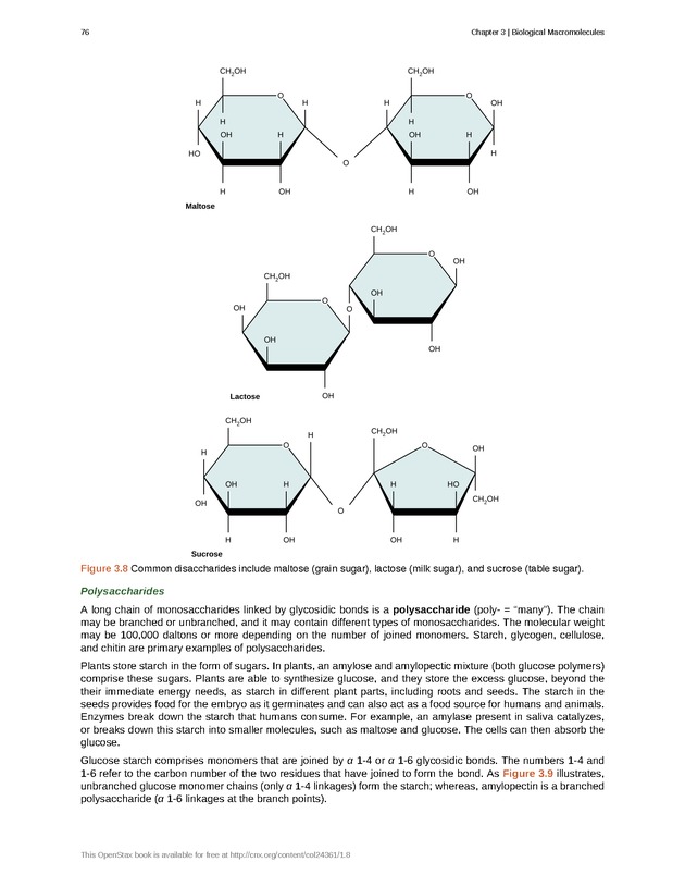Biology - Front Matter 87