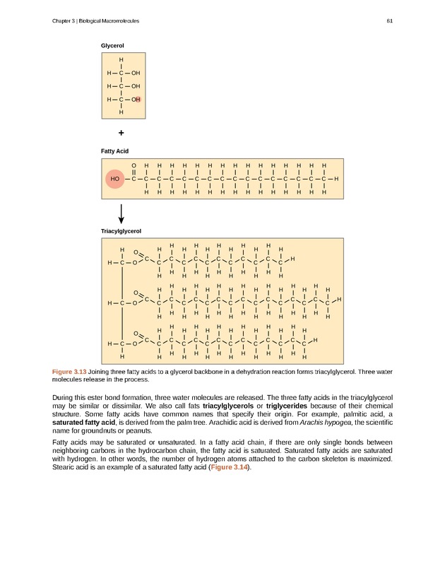 Biology - Front Matter 92
