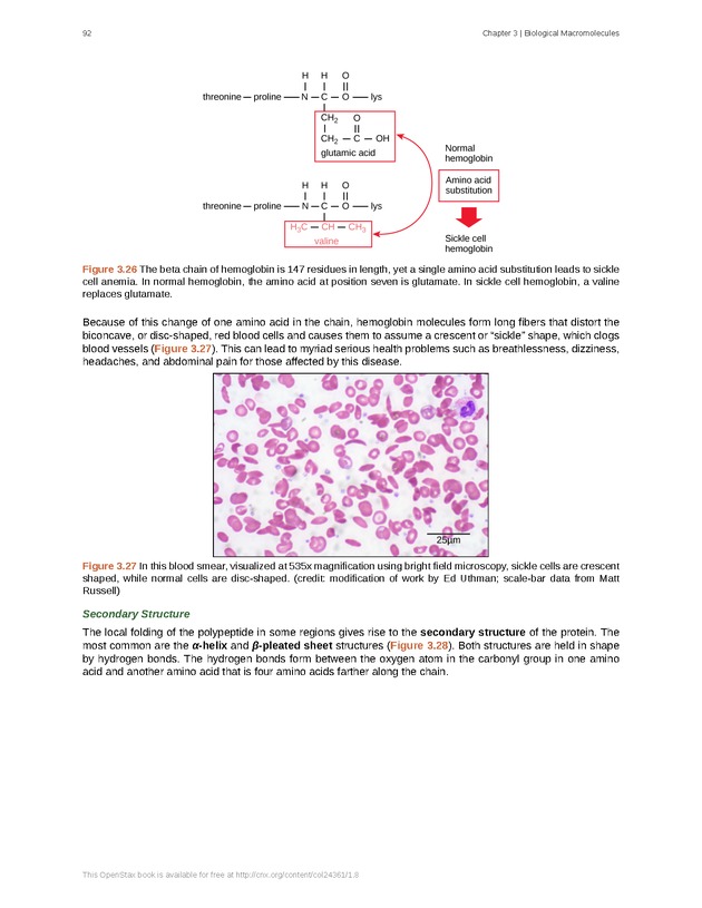 Biology - Front Matter 103