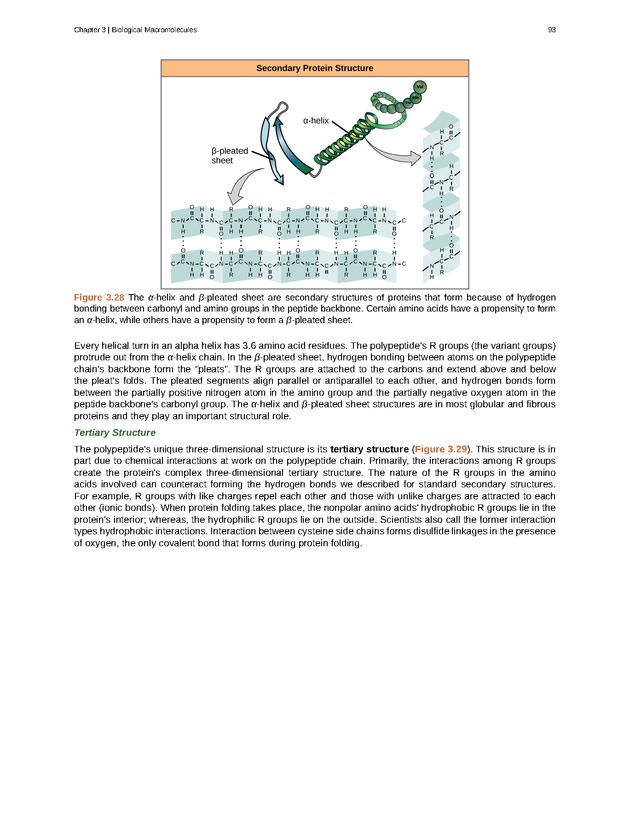 Biology - Front Matter 104