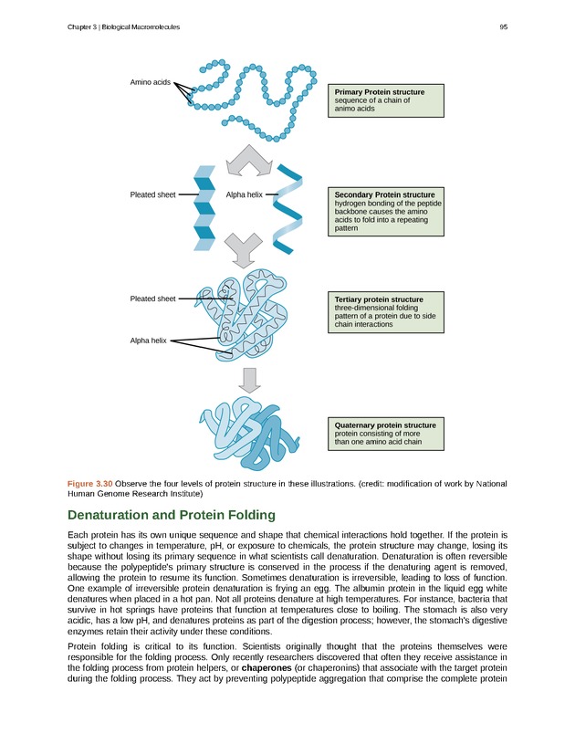 Biology - Front Matter 106